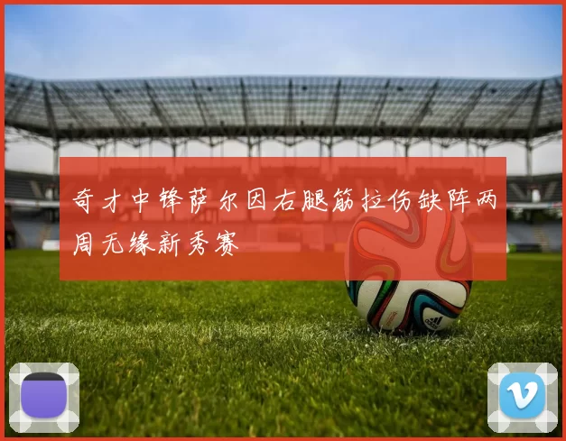 奇才中锋萨尔因右腿筋拉伤缺阵两周无缘新秀赛